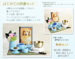 画像10: 【はじめてのペット供養セット：トークtalk　ブルー】11点セット　ペット仏具　ペット供養　お鈴　おリン　送料無料