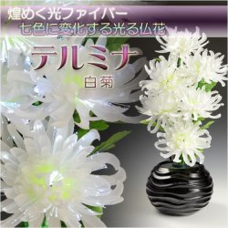 画像1: 光ファイバー使用の光る仏花【7色に変化する煌めくお花　テルミナ：白菊】新盆　初盆　お盆用品　盆提灯　盆花　仏壇用仏具　送料無料