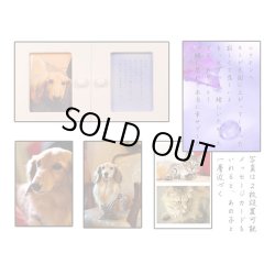 画像7: 袋ごと５寸までOK【ペット仏壇・天使１６号・スノーホワイト】メモリアルBOX、【ペット供養】【ペット納骨】【ペット分骨】