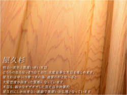 画像11: 国産仏壇【樹齢1000年の神秘 屋久杉：翁唄（おきなうた）20号】上置き小型仏壇　送料無料