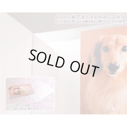 画像3: 【ペット専用ご供養セット：ヴェール ホワイト＋ペット用ローソク・線香セット】ペット供養 仏壇・仏具　ローソク　線香　小型仏壇　ミニ仏壇　手元供養