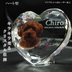 画像1: かわいいクリスタルペット位牌【ピュアラブ　ハート型　サイズC】【UV＋２Dレーザー】犬の位牌　猫の位牌　ペット供養 送料無料