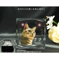 画像9: かわいいクリスタルペット位牌【ピュアラブ　キューブ型　サイズC】【UV＋２Dレーザー】犬の位牌　猫の位牌　ペット供養 送料無料