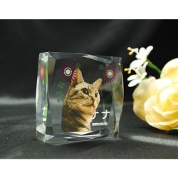 画像2: かわいいクリスタルペット位牌【ピュアラブ　キューブ型　サイズC】【UV＋２Dレーザー】犬の位牌　猫の位牌　ペット供養 送料無料