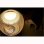 画像10: お盆用品【ペット用インテリアお盆提灯：花毬（はなまり）省エネLED電球】ペットメモリアル・ペット用品・新盆・初盆・仏壇・迎え火・手元供養・ちょうちん・ペット供養
