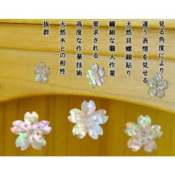 画像4: 【LED照明付き＋天然螺鈿＋総桐】ミニモダン仏壇【ゼフィール15号・ライトブラウン色】送料無料