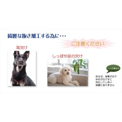 画像12: 位牌【ペット供養：クリスタルペット位牌・メモリアルモニュメント ジョリス・オーバル サイズ小（3.5寸）】モダン位牌 ペット仏壇 仏具 送料無料