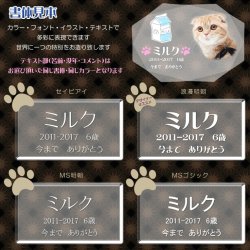 画像10: 位牌【ペット供養：クリスタルペット位牌・メモリアルモニュメント ジョリス・オーバル サイズ小（3.5寸）】モダン位牌 ペット仏壇 仏具 送料無料