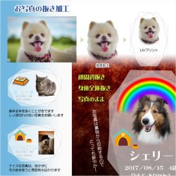 画像11: 位牌【ペット供養：クリスタルペット位牌・メモリアルモニュメント ジョリス・オーバル サイズ小（3.5寸）】モダン位牌 ペット仏壇 仏具 送料無料