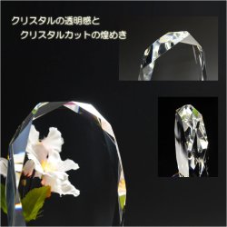 画像3: 位牌【ペット供養：クリスタルペット位牌・メモリアルモニュメント ジョリス・オーバル サイズ小（3.5寸）】モダン位牌 ペット仏壇 仏具 送料無料