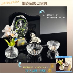 画像15: 位牌【ペット供養：クリスタルペット位牌・メモリアルモニュメント ジョリス・オーバル サイズ小（3.5寸）】モダン位牌 ペット仏壇 仏具 送料無料