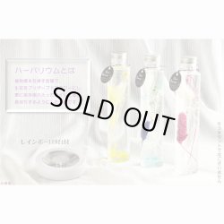 画像2: 仏具【レインボーLED台付・ハーバリウム仏花：フローラ　イエロー1本】花　プリザーブドフラワー　供物　お供え　仏壇用仏具　送料無料