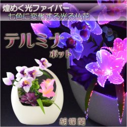 画像1: 仏具・お盆飾り【光ファイバー仏花：テルミナポット　胡蝶蘭】お盆用品　霊前灯　提灯　供花　供物　お供え　仏壇用仏具　新盆　初盆　盆花　インテリア行灯