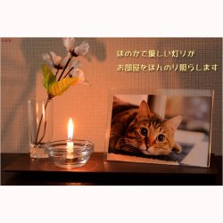 画像5: ペット用ローソク【星のしずく：ミニ寸　全8色・100粒入り】仏具　ローソク　ろうそく　蝋燭　ペット　ミニ寸ローソク　手元供養