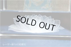 画像10: 上置仏壇【収納抜群・ワイド型モダン仏壇：アリビオ　タモ・ウォールナット杢　上置16号＋仏具一式】家具調仏壇　モダン仏壇　小型仏壇　送料無料