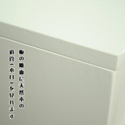 画像17: 仏壇・仏壇台上下セット【ミニモダン仏壇・未来15号＋仏壇台・清流】・ホワイト色（白）・送料無料seiryu15