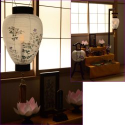 画像13: お盆提灯・仏縁堂セレクト【八女提灯：蒔絵入り御所提灯10号　露けき秋草　LED電球タイプ（電池式）】送料無料　吊り提灯　壷型　盆ちょうちん　行灯　お盆用品　新盆　初盆　色柄提灯　花柄提灯　迎え火　送り火