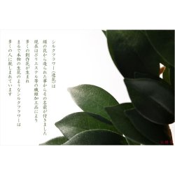 画像9: （7月下旬入荷予定）祖霊舎・神徒壇【モダン祖霊舎：ガラス格子扉　天然オーク杢・住吉（すみよし）50号ナチュラル+神具一式】LEDダウンライト付　神道　大型　御霊舎　霊璽　御霊代　神棚　送料無料