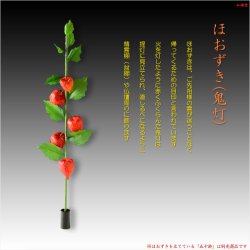 画像6: お盆用品【お盆飾り：枝付き5連ほおずき】盆棚　精霊棚　仏壇　迎え火　祭り　造花　新盆　初盆　鬼灯