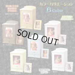 画像12: ペット仏具【おリン付7点セット：ピュア　ダークブラウン】ミニ仏壇 家具調仏壇 メモリアルボックス 納骨 骨壷 ペット供養 足跡マーク 送料無料