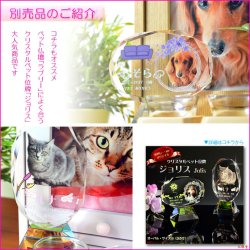 画像5: ペット仏具【おリン付7点セット：ピュア　ライトブラウン】ミニ仏壇 家具調仏壇 メモリアルボックス 納骨 骨壷 ペット供養 足跡マーク 送料無料