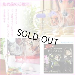 画像10: ペット仏具【おリン付7点セット：ピュア　ダークブラウン】ミニ仏壇 家具調仏壇 メモリアルボックス 納骨 骨壷 ペット供養 足跡マーク 送料無料