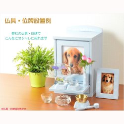 画像20: ペット仏壇【ネーム入りフォトフレーム付き：新・ラブリー　サイズ小　パステルブルー】ミニ仏壇 家具調仏壇 メモリアルボックス 納骨 骨壷 ペット供養 足跡マーク 写真立て 名入れ無料 送料無料