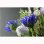 画像5: 仏花【お供え小花　野々花（ののか）： クロッカス　ブルー】造花　手元供養　仏花 インテリア 仏壇・仏具　供花