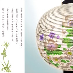 画像7: 格安盆提灯【岐阜提灯：PC黒蒔絵　芙蓉萩9号　一重・回転筒付き】お盆用品 仏具 お盆 初盆 新盆 初盆飾り 新盆飾り お盆飾り 行灯 お彼岸 仏具 盆棚 盆ちょうちん 迎え火 送り火　送料無料