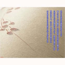 画像4: お盆提灯【本美濃和紙使用　高級モダン岐阜提灯：白露（しらつゆ）枝垂れ桜】盆提灯　モダン提灯　ちょうちん　盆飾り　和紙　　新盆　初盆　お盆・お彼岸・盆棚・仏具　送料無料