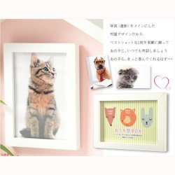 画像3: ペット供養【ハウス型・フォトフレームボックス：ピット！Pit　ホワイト×ピンク】写真立て　手元供養　仏具　骨壷　遺影　遺品　オープン仏壇　ミニ仏壇　ペット供養　ペット仏壇　ボックスフレーム　立体フレーム　メモリアル　送料無料