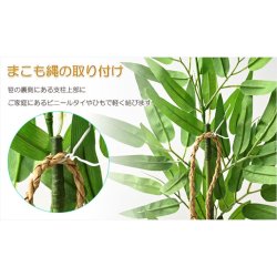 画像8: お盆飾り【盆棚用：笹立て付き　笹の葉結界セット（笹の葉・笹立て・ほおずき・まこも縄）】お盆用品　新盆　初盆　盆棚　精霊棚　牛馬　仏壇　仏具