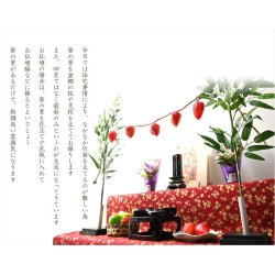 画像4: お盆飾り【盆棚用：笹立て付き　笹の葉結界セット（笹の葉・笹立て・ほおずき・まこも縄）】お盆用品　新盆　初盆　盆棚　精霊棚　牛馬　仏壇　仏具