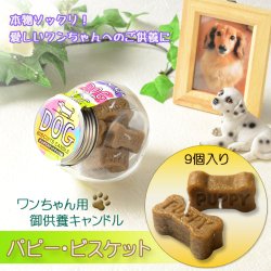 画像1: ペット用ローソク【本物ソックリ：ワンちゃん用供養キャンドル　パピー・ビスケット　9個入り】仏具　ローソク　ろうそく　蝋燭　ペット　ミニローソク　犬　虹の橋　天国　動物　手元供養