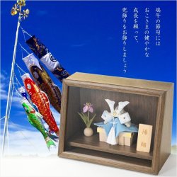 画像11: 節句飾り【端午の節句・五月人形（兜・菖蒲）：国産京都　モダンな淡彩仕立て　陽翔（はると）木製アクリルケース付・ウォールナット調】節句人形　こいのぼり　五月飾り　菖蒲の節句　男の子　ケース飾り　こどもの日　送料無料