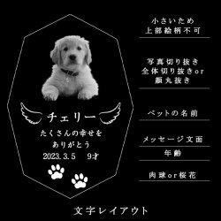 画像4: ペット位牌【世界に一つの特別：3Dクリスタル位牌（ウールー）無色透明】モダン　オリジナル位牌　ガラス　オーダーメイド