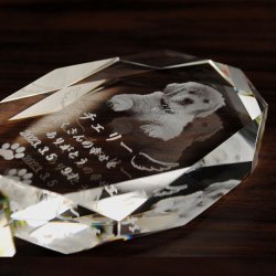 画像3: ペット位牌【世界に一つの特別：3Dクリスタル位牌（ウールー）無色透明】モダン　オリジナル位牌　ガラス　オーダーメイド