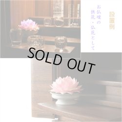 画像9: 国産・お盆用品【お盆飾り・普段使いに：ゆっくりと変化する7色LEDライト　彩虹蓮花（さいこうれんげ）】限定品　霊前灯　提灯　モダン提灯　仏壇用仏具　新盆　初盆　盆花　迎え火　送り火　インテリア行灯