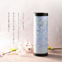 画像11: お盆提灯【岐阜提灯・最新高輝度LED採用：テルミナ虹光（こうこう）夜桜・コンパクト】お盆用品　お盆飾り　霊前灯　提灯　モダン提灯　電池灯　仏壇用仏具　新盆　初盆　盆花　迎え火　送り火　インテリア行灯