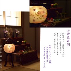 画像14: 特選　高級盆提灯【八女提灯：天然木・二重張り・ローソク型LEDユニット 　白芙蓉・撫子　9号】盆ちょうちん　行灯　盆用品　お盆飾り　命日　LEDローソク　電池式ローソク　送料無料