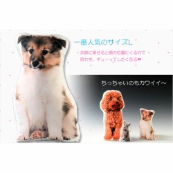 画像6: ペット仏具【ペット　メモリアルクッション：おかえり　サイズ3L（最大80cm）】ペット供養　ペットロス　ハンドメイド　送料無料