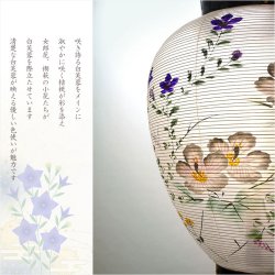 画像10: 盆提灯・仏縁堂セレクト【八女提灯：御所提灯　軽量仕様　本絹一重張り10号・白芙蓉桔梗　プルスイッチ式LED電池ローソク灯】送料無料　吊り提灯　壷型　盆ちょうちん　行灯　盆用品　新盆　初盆　色柄提灯　花柄提灯　迎え火　送り火