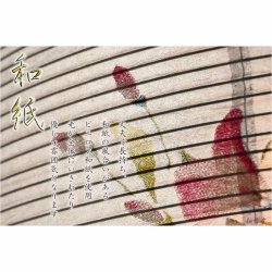 画像7: 限定品　お盆提灯【八女提灯：回転筒付　PC黒蒔絵　一重張11号　花園】盆ちょうちん　行灯　盆用品　お盆飾り　新盆　初盆　色柄提灯　花柄提灯　迎え火　送り火　送料無料