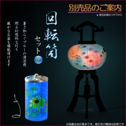 画像16: 特選限定品　お盆提灯【八女提灯：天然木黒美調仕上げ　本絹二重張り　電球灯　朧菊（おぼろぎく）10号】行灯　盆用品　お盆飾り　新盆　初盆　色柄提灯　花柄提灯　迎え火　送り火　送料無料