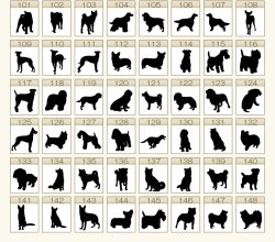 画像7: 手元供養【名前入りオーダーメイド：エンジェルウィング（天使の翼）・アルミ製軽量　遺骨カプセル　シルバー】ネコポス便送料無料　ペット用品　仏具　メモリアル　遺骨ジュエリー　遺骨カプセル　分骨