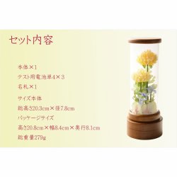 画像7: 仏具・お盆飾り【国産シルクフラワー仏花：アクリル製　LED供花ポット　舞菊（まいぎく）】仏壇仏具　盆花　造花　花立て　お供え　供花　盆花　お灯明　霊前灯　八女提灯　菊　菊の花　進物　電池式　コードレス