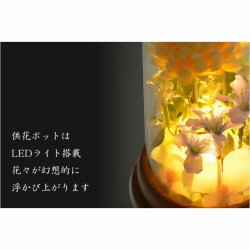 画像5: 仏具・お盆飾り【国産シルクフラワー仏花：アクリル製　LED供花ポット　舞菊（まいぎく）】仏壇仏具　盆花　造花　花立て　お供え　供花　盆花　お灯明　霊前灯　八女提灯　菊　菊の花　進物　電池式　コードレス