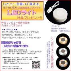 画像20: ホワイト　仏具一式付き仏壇【LED間接照明・専用ステージ付：沙羅（さら）オープン型ワイド　16-18号】仏壇　仏具　仏壇台　ミニ仏壇・小型仏壇　デザイン仏壇　手元供養台