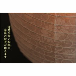 画像4: 新盆・初盆用白提灯【岐阜提灯：露菊（つゆぎく）白紋天　電池式LED電子ローソク付】初盆 新盆 ちょうちん 和紙　お盆 モダン提灯 家具調提灯  コードレス 送料無料