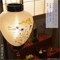 画像14: お盆提灯・仏縁堂セレクト【八女提灯：蒔絵入り御所提灯10号　桔梗に秋草　LED電球（電池式）本絹一重】送料無料　吊り提灯　壷型　盆ちょうちん　行灯　盆用品　新盆　初盆　色柄提灯　花柄提灯　迎え火　送り火